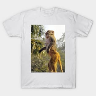 Amazing Monkey Stand Up for your rights T-Shirt